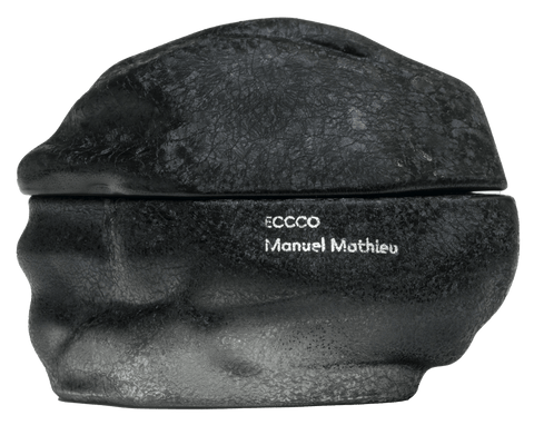 ECCCO - Manuel Mathieu